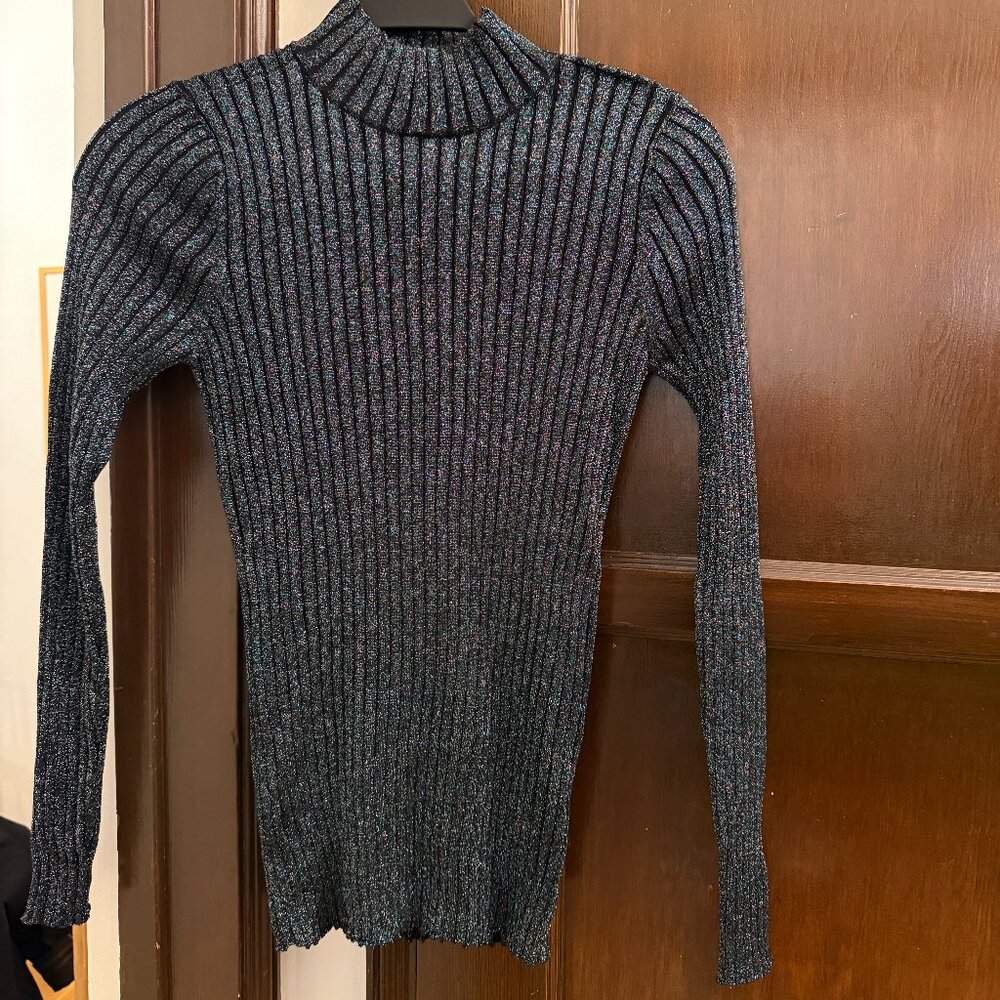 Parker iridescent turtle neck